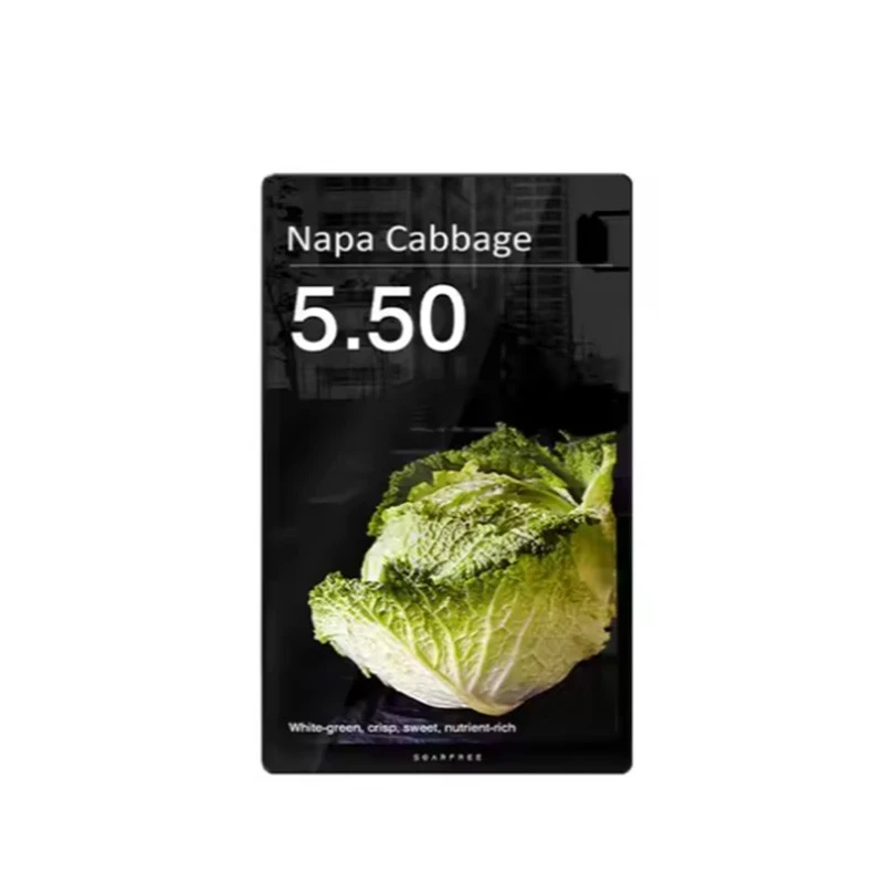 10.1" Ekraŋ Njëg LCD - Ñaari - Siñaal Etagër Dijital